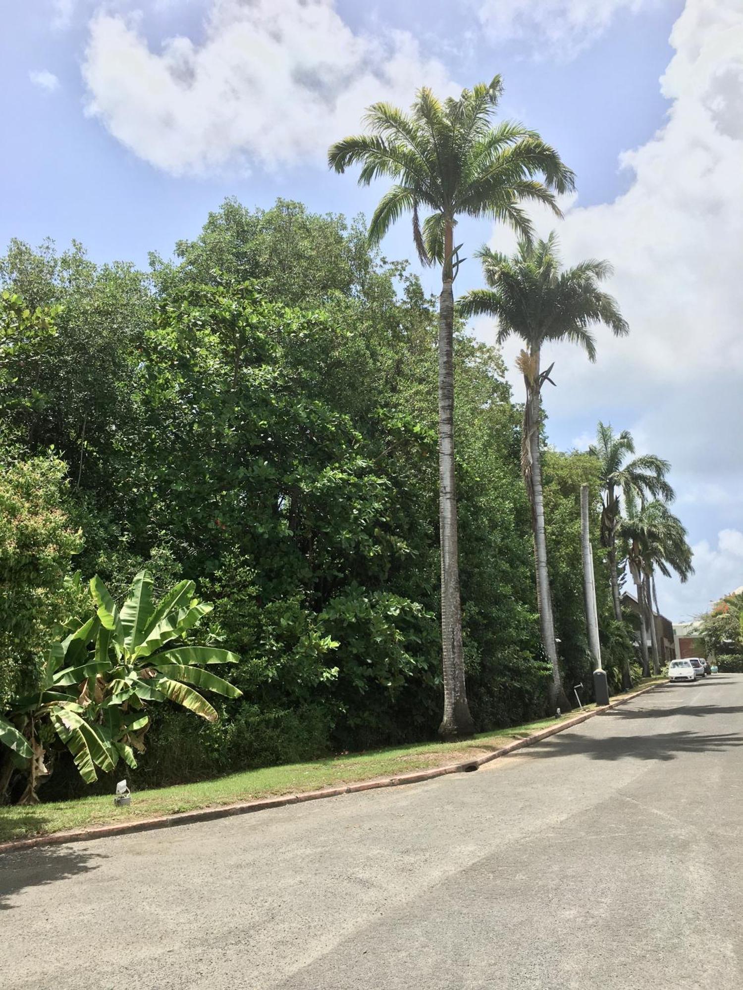Appartement St Francois Manganao Guadeloupe Saint-Francois  Kültér fotó